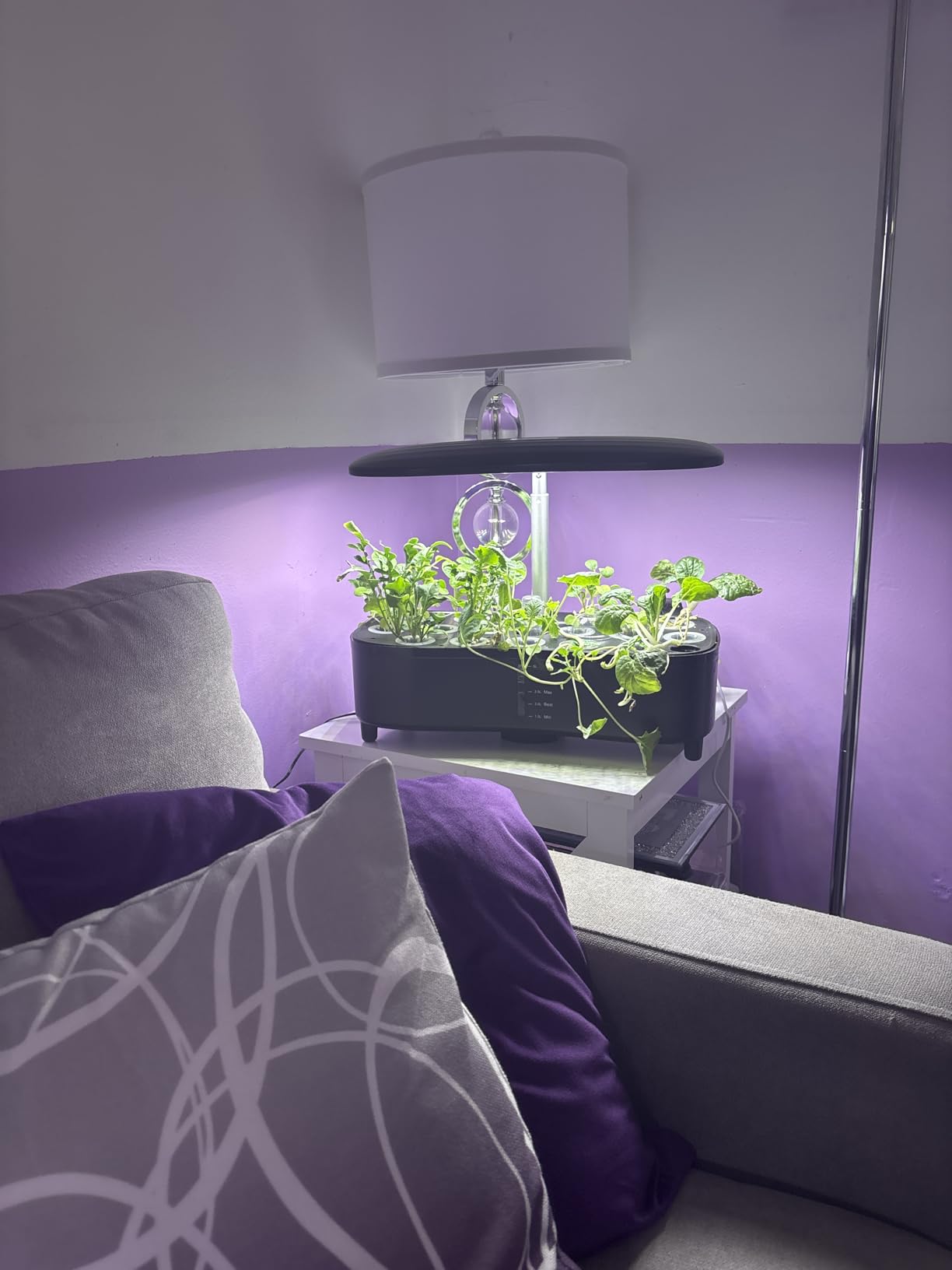 Sondiko Hydroponics Growing System Kit with Atomization Technology, Indoor Garden kit with 48W LED Grow Light, Quiet Water Pump, Automatic Timer, Height Adjustable, 5L Large Tank Plant Germination Kit customer photo 1