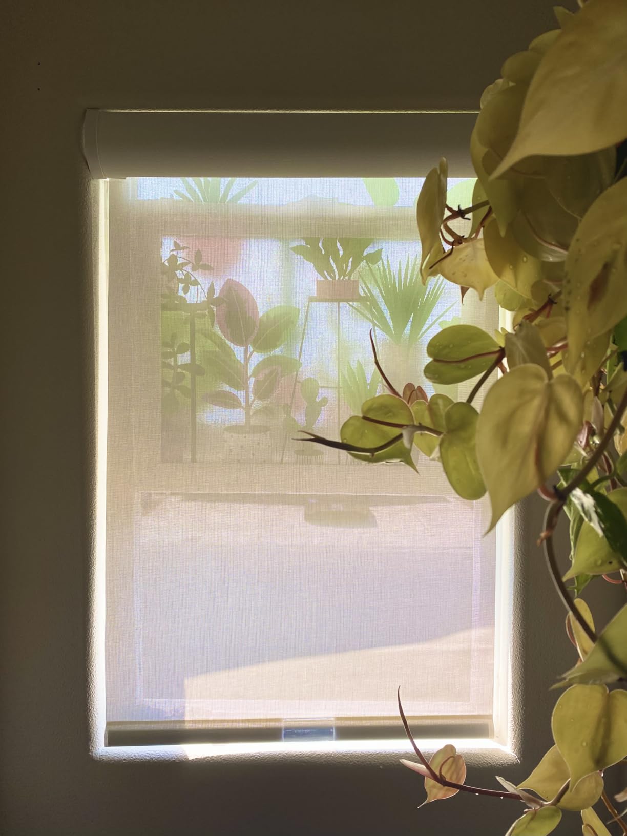 Lumino Light Filtering Solar Shades, 32