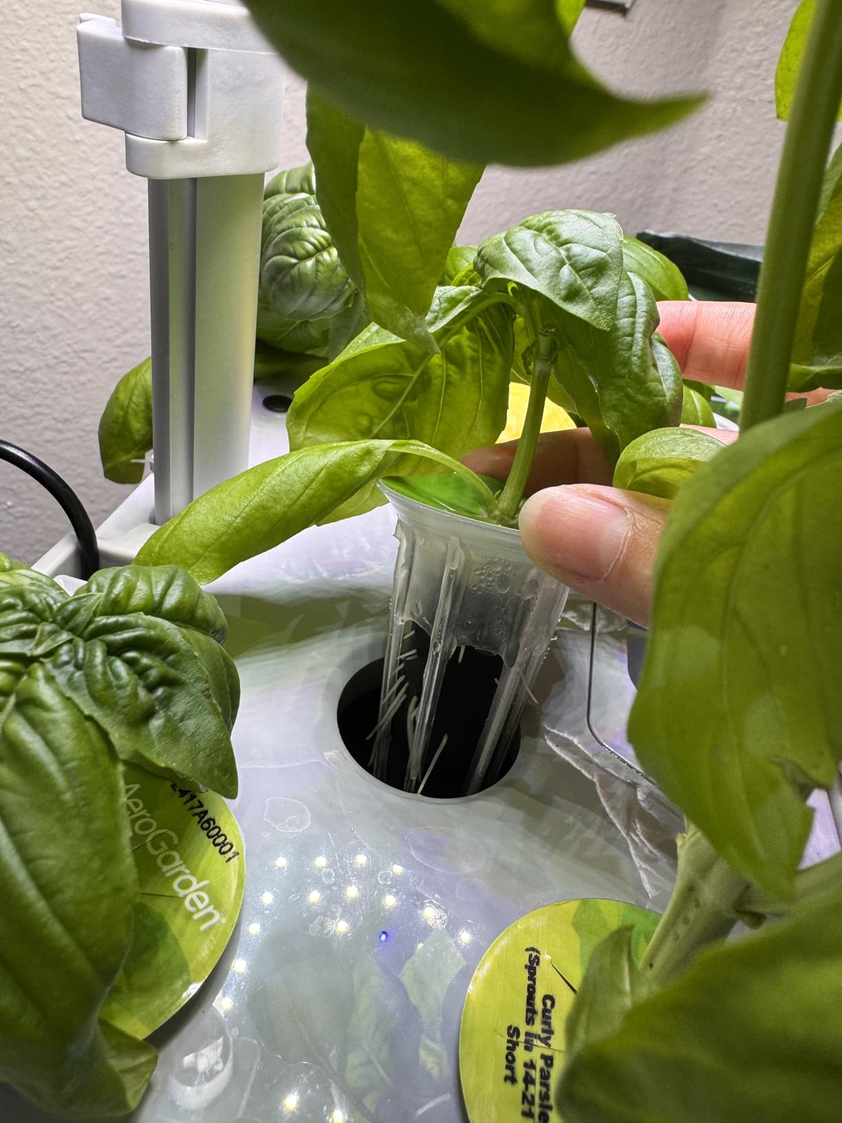 Vertical Hydroponics Growing System Kit, Indoor Outdoor Gardening System Kits, Herb & Fruits Growing Hydroponic Tower, 6 Layers (36 Pods) customer photo 1