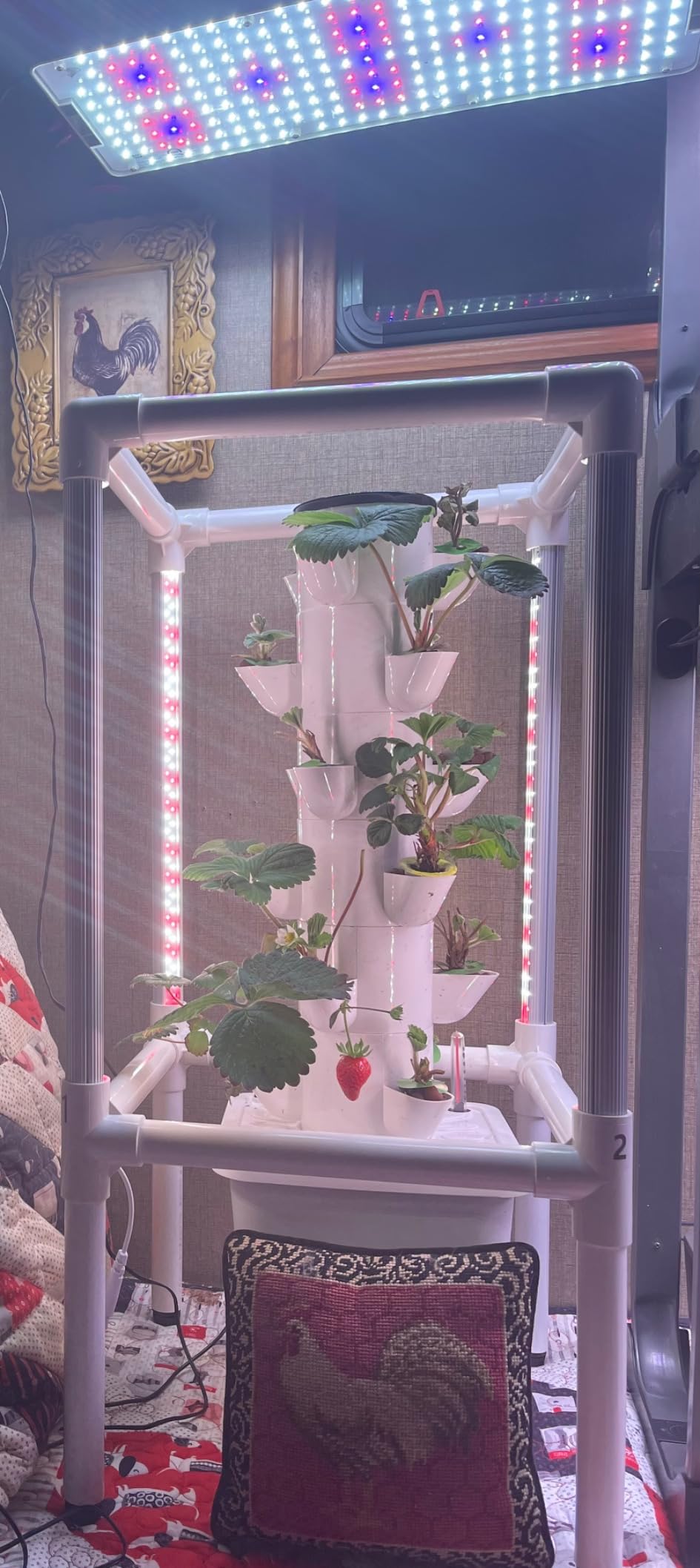 Vertical Hydroponics Growing System Kit, Indoor Outdoor Gardening System Kits, Herb & Fruits Growing Hydroponic Tower, 6 Layers (36 Pods) customer photo 2