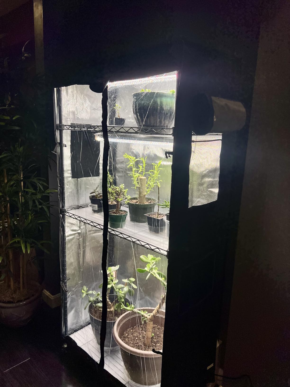 Bstrip Indoor Greenhouse with Grow Light Oxford Cover, 29.5x13.8x59in customer photo 1