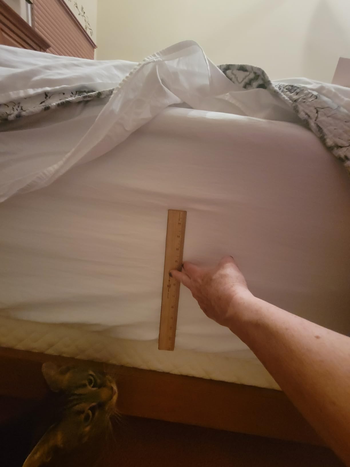 MEISHANG 1000TC Egyptian Cotton Sheets King, 16