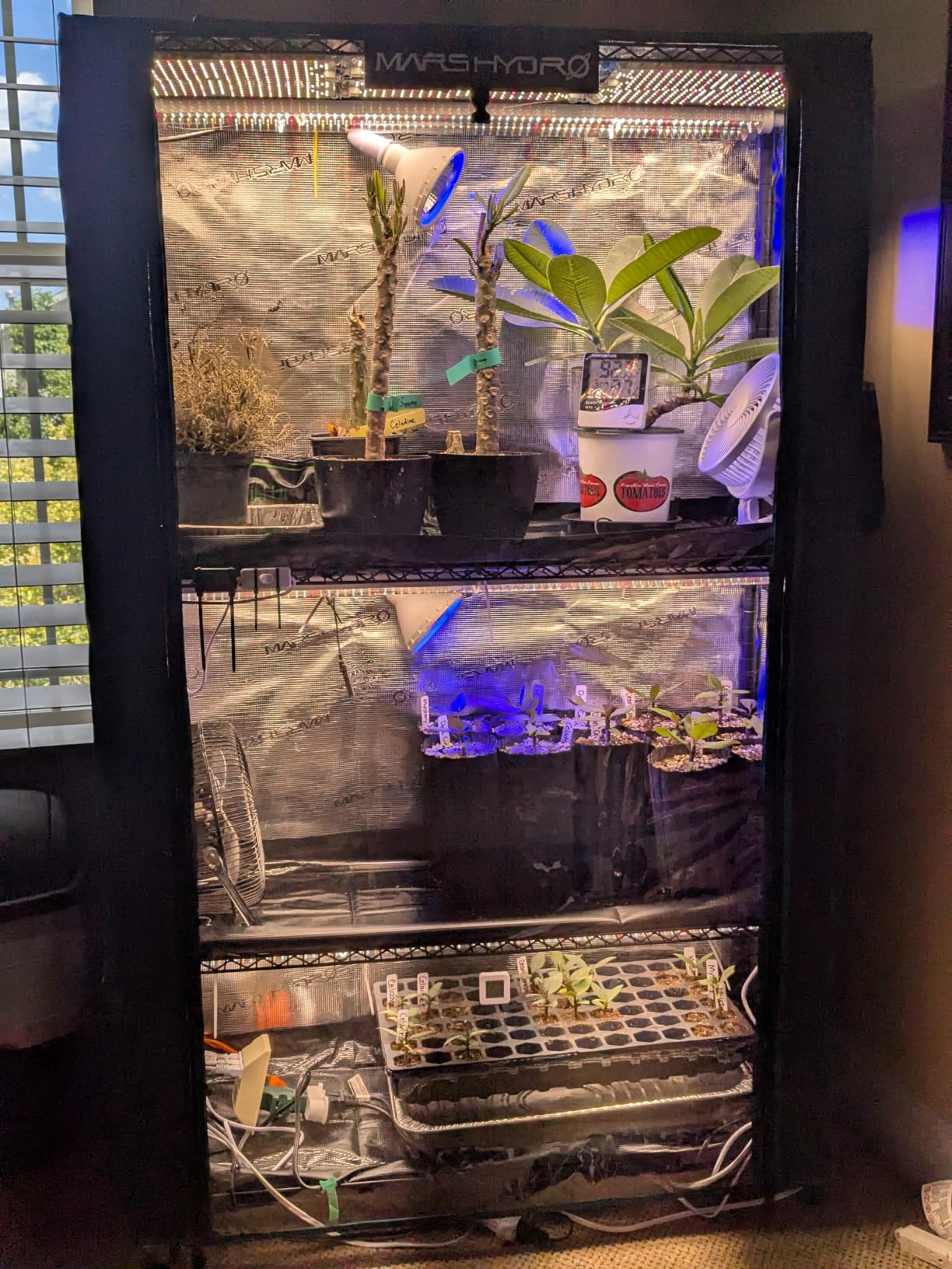 MARS HYDRO 6 Tier Indoor Garden System with 225W Full Spectrum LED Lights customer photo 1