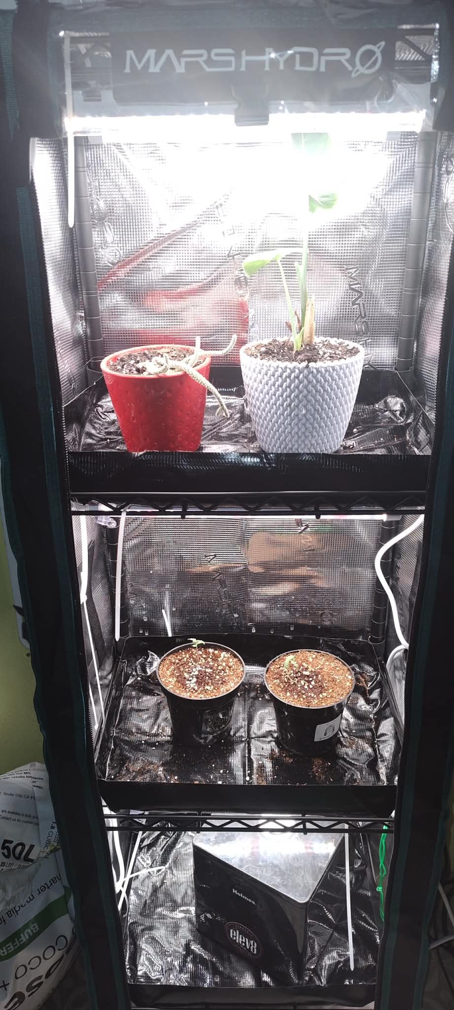 MARS HYDRO 6 Tier Indoor Garden System with 225W Full Spectrum LED Lights customer photo 2