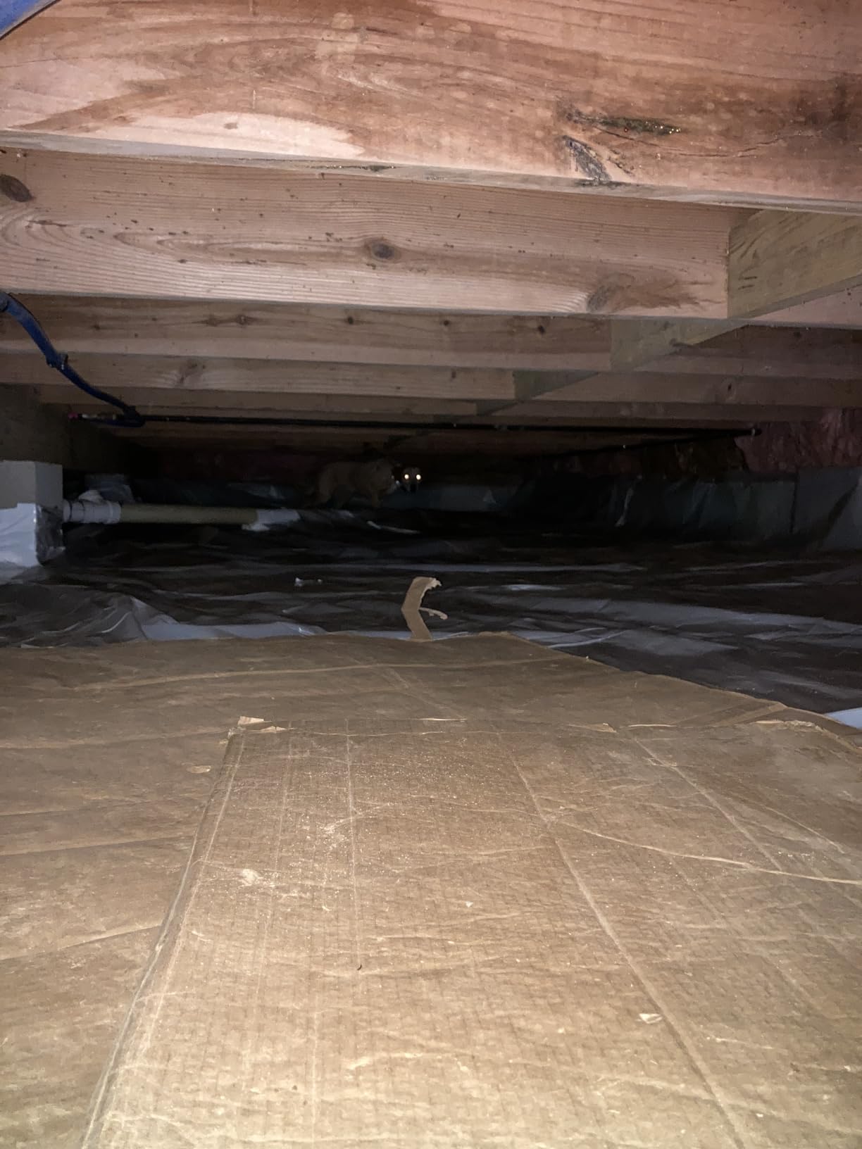 Yaufey 70 Pints Energy Star Commercial Dehumidifier with Drain Hose for 5000 Sq. Ft. Crawl Space, Basement, Industrial, 10-90% RH Humidity Control, 24/7 Continuous Drainage, TUV Certified, 5-Yr Coverage customer photo 2