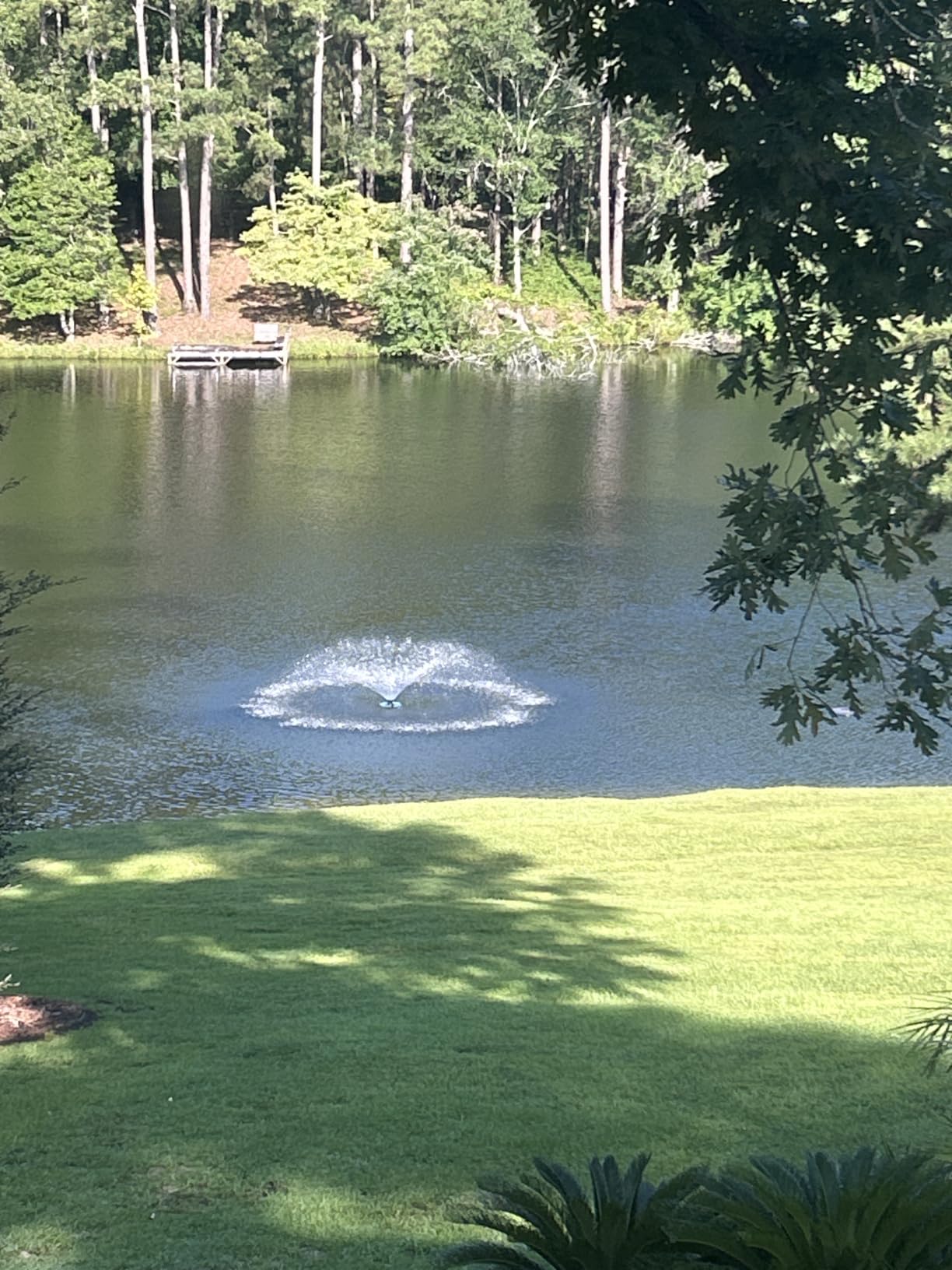 RELIY Pond Fountain Aerator, 1HP 110V 15000 GPH Fountain Pump, Fully Automatic Powerful Lake Floating Fountain, 100 FT Power Cord, 2x100 FT Traction Rope, Pond Fountains For Large Ponds customer photo 2