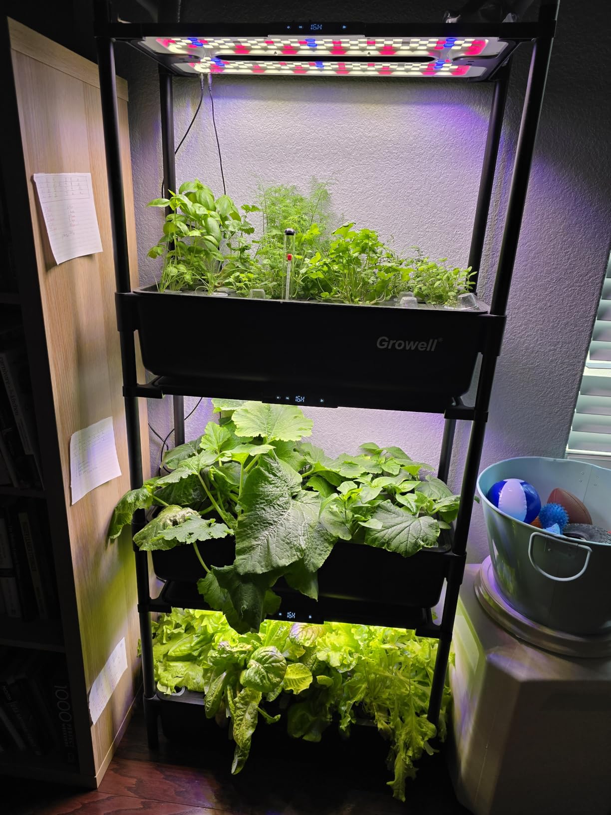 Growell Large Basket Hydroponics Growing System Kit, 48 Pods Vertical Hydroponic Garden with 2 Grow Light Modes, Auto Circulating Water System, 40L Indoor Gardening System for Herb Vegetable Fruit customer photo 1