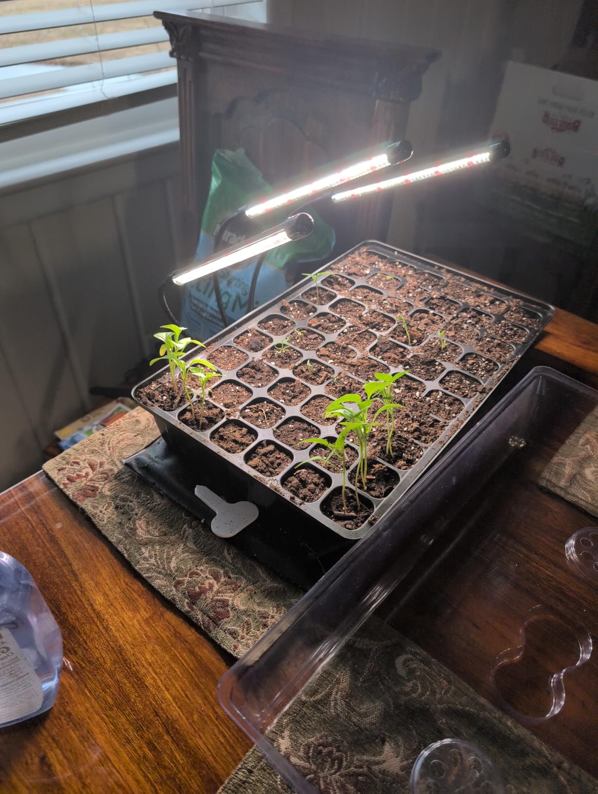 SOLIGT 3 Set 60-Cell Seed Starter Kit with Domes, Cell Trays and Heat Mats customer photo 2