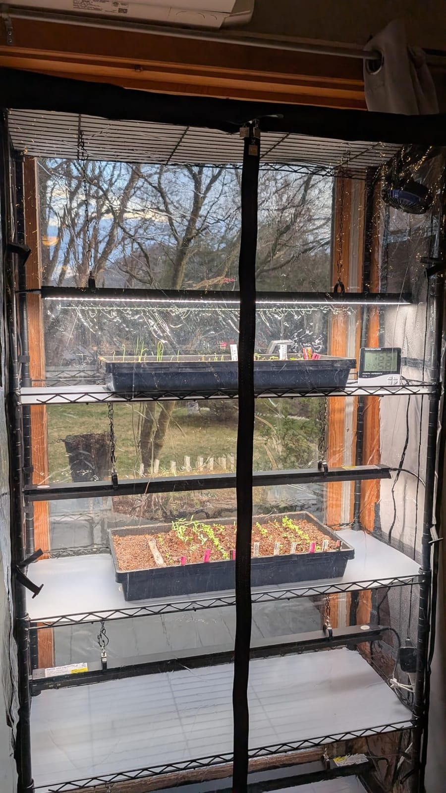 Barrina LP750 Indoor Greenhouse with Grow Light, 4 Tier Stand with Tent customer photo 1