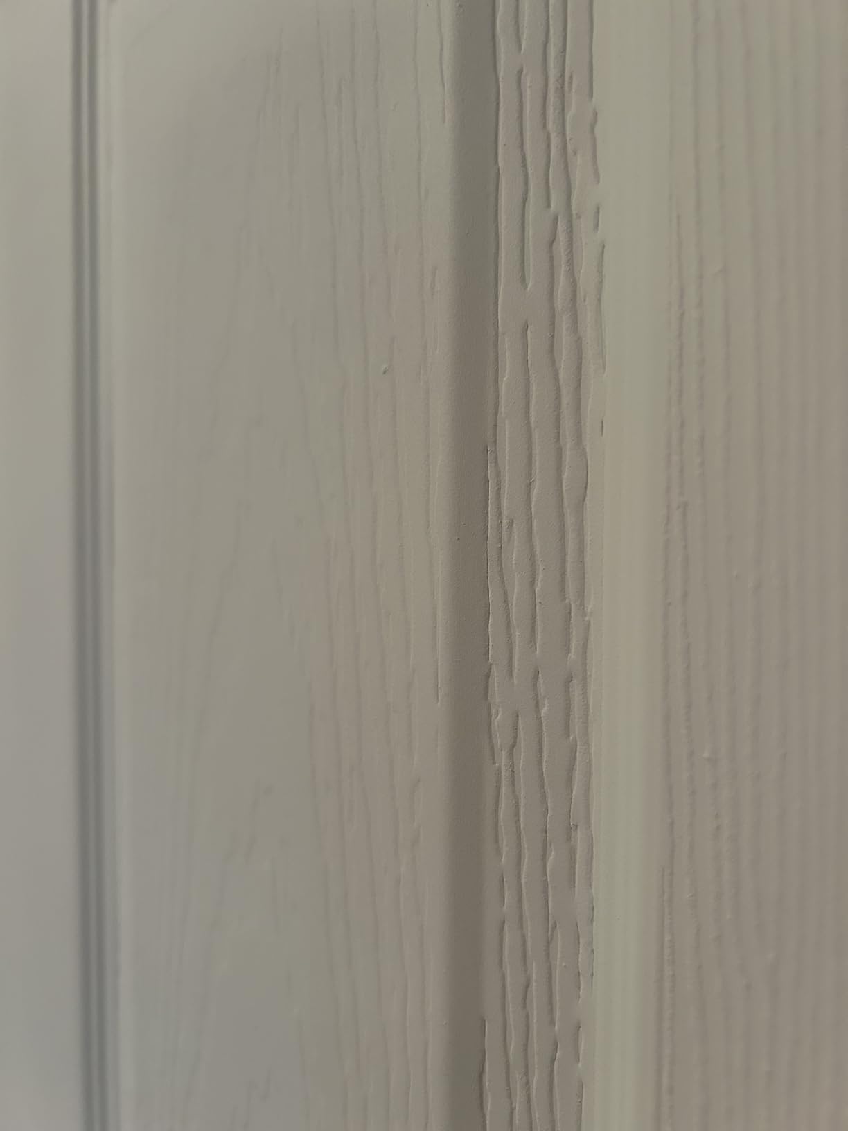 BARNSMITH 72x80 in Raised Textured 6-Panel Bypass Sliding Closet Door customer photo 2