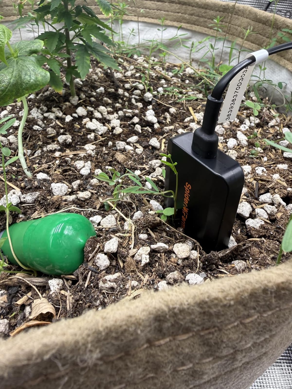 Spider Farmer GGS 3 in 1 Soil Sensor Pro 3Pcs for Indoor Garden Grow Tent customer photo 2