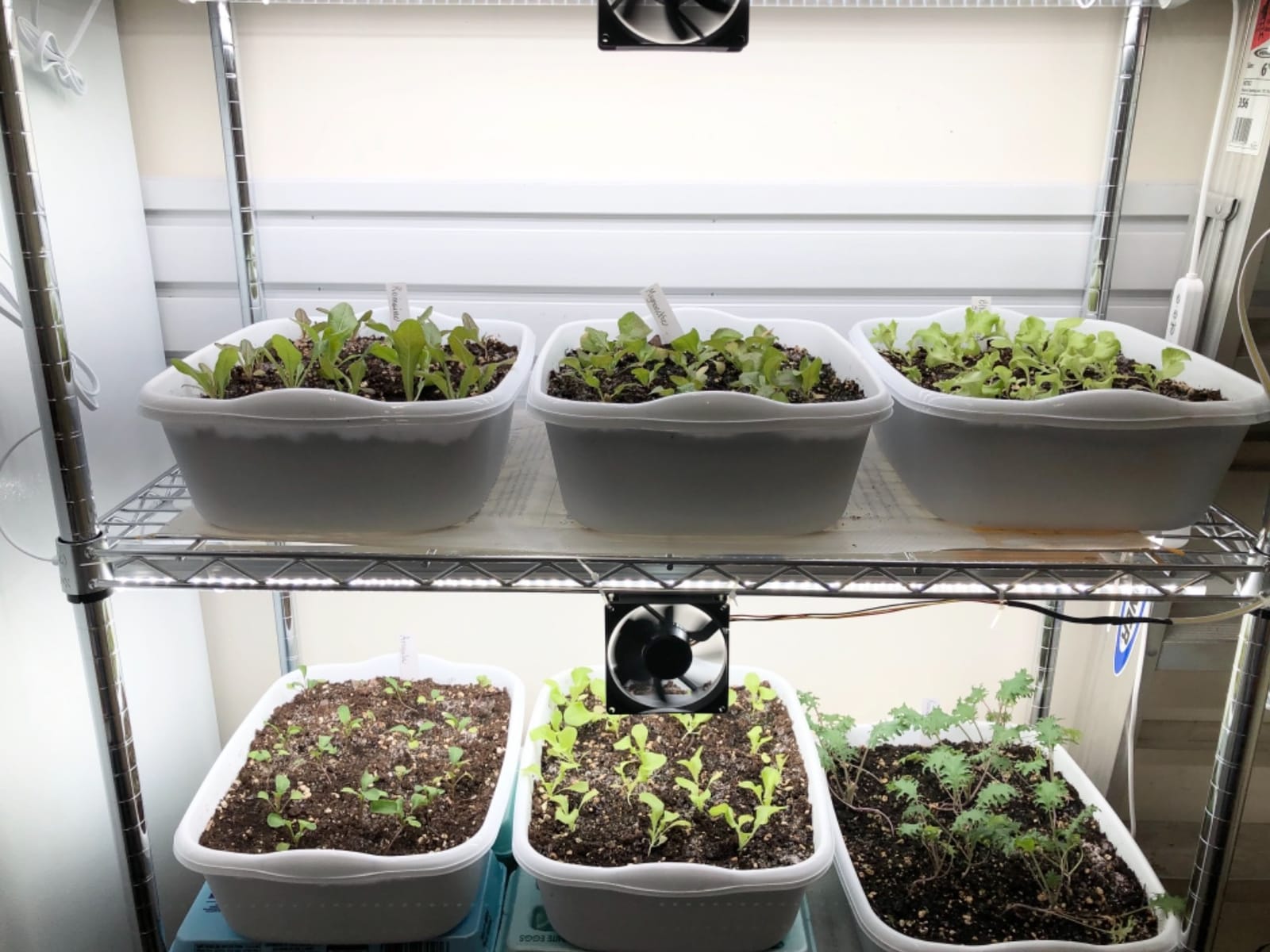 JESLED Indoor Greenhouse with Grow Light, 47.2x13.8x70IN customer photo 1