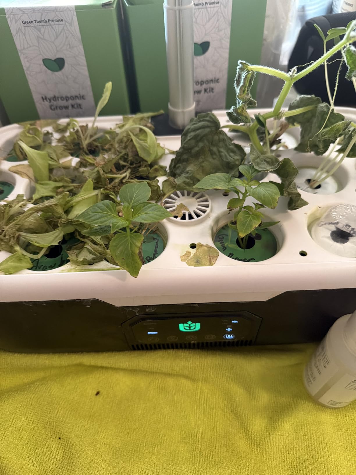 Misting Hydroponic Growing System Kit 15-Pods Indoor Smart Herb Garden Planter with LCD Touch Panel 6L Large Tank for Herb/Vegetables/Flowers/Fruits,Gardening Gifts for Women Men Beginners-Black customer photo 2