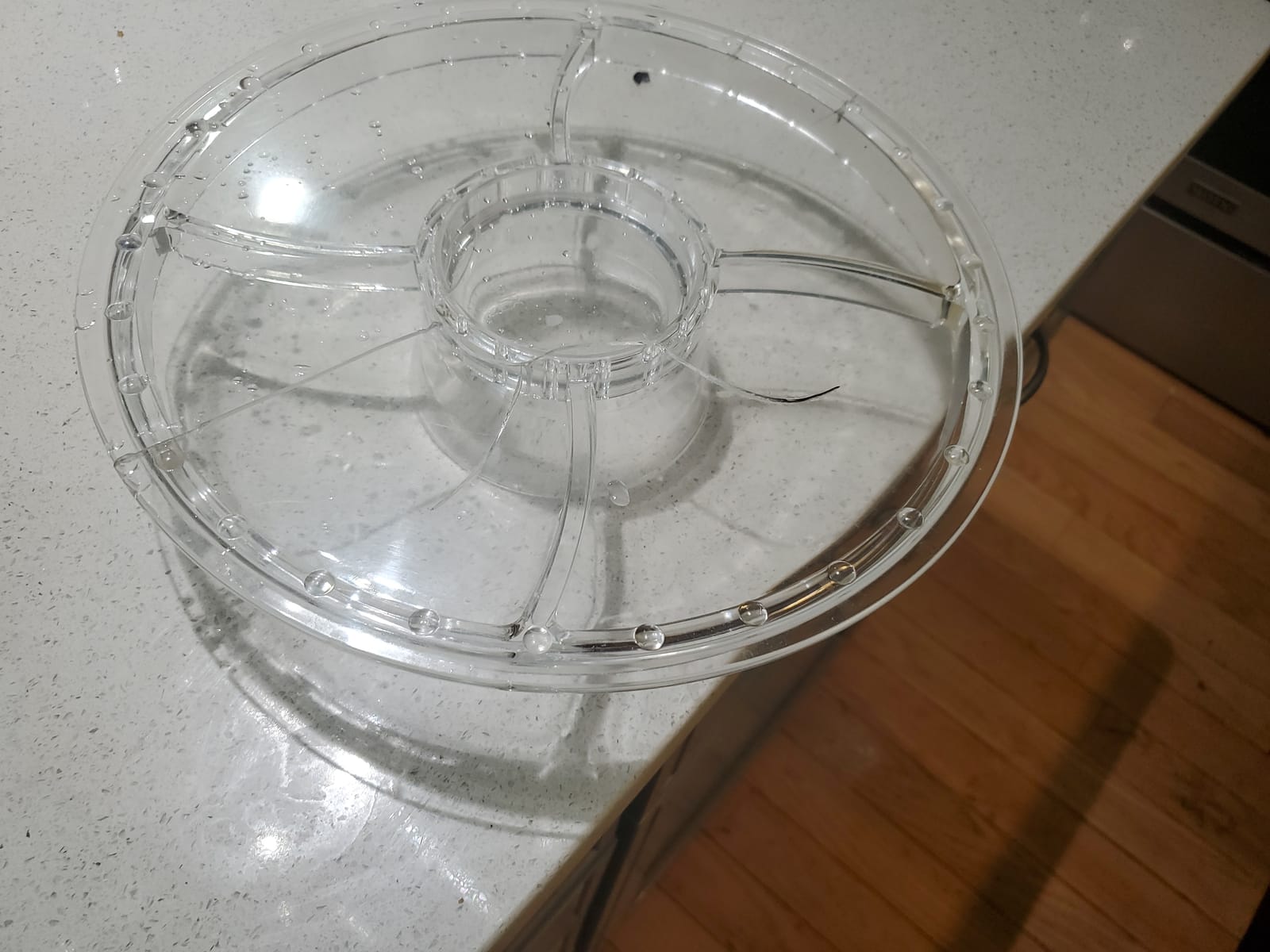 Masthome Rotating Bamboo Cake Stand with Shatterproof Acrylic Dome,11.8in customer photo 1