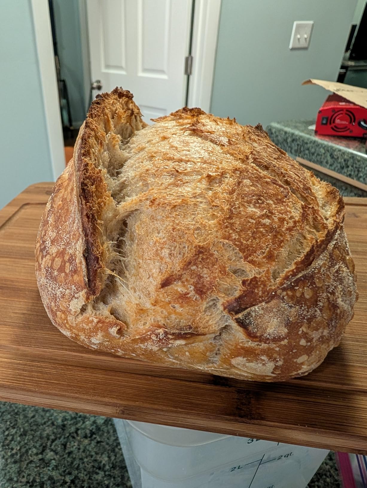 Brod & Taylor Banneton Batard 10” Proofing Basket for Sourdough & Artisan Bread Baking – Stackable, Made From Bamboo & Sugarcane Pulp (2-Pack) customer photo 1