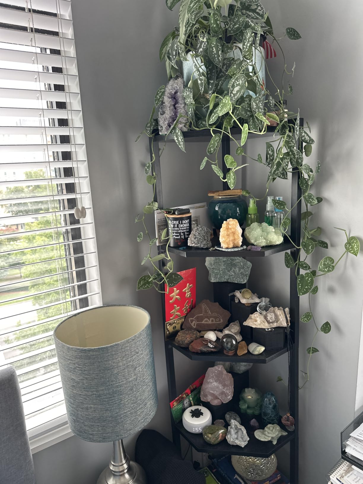 Hzuaneri Corner Shelf Stand 7-Tier Corner Bookshelf Storage Standing Shelf customer photo 2