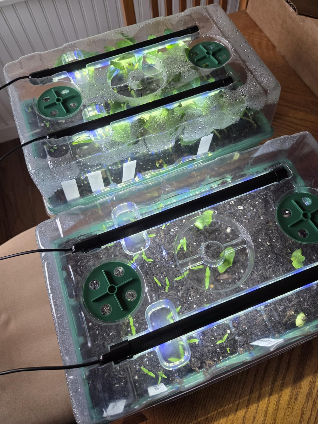 Sondiko Seed Starter Tray with Grow Light, Heated Seed Starter Kit customer photo 1