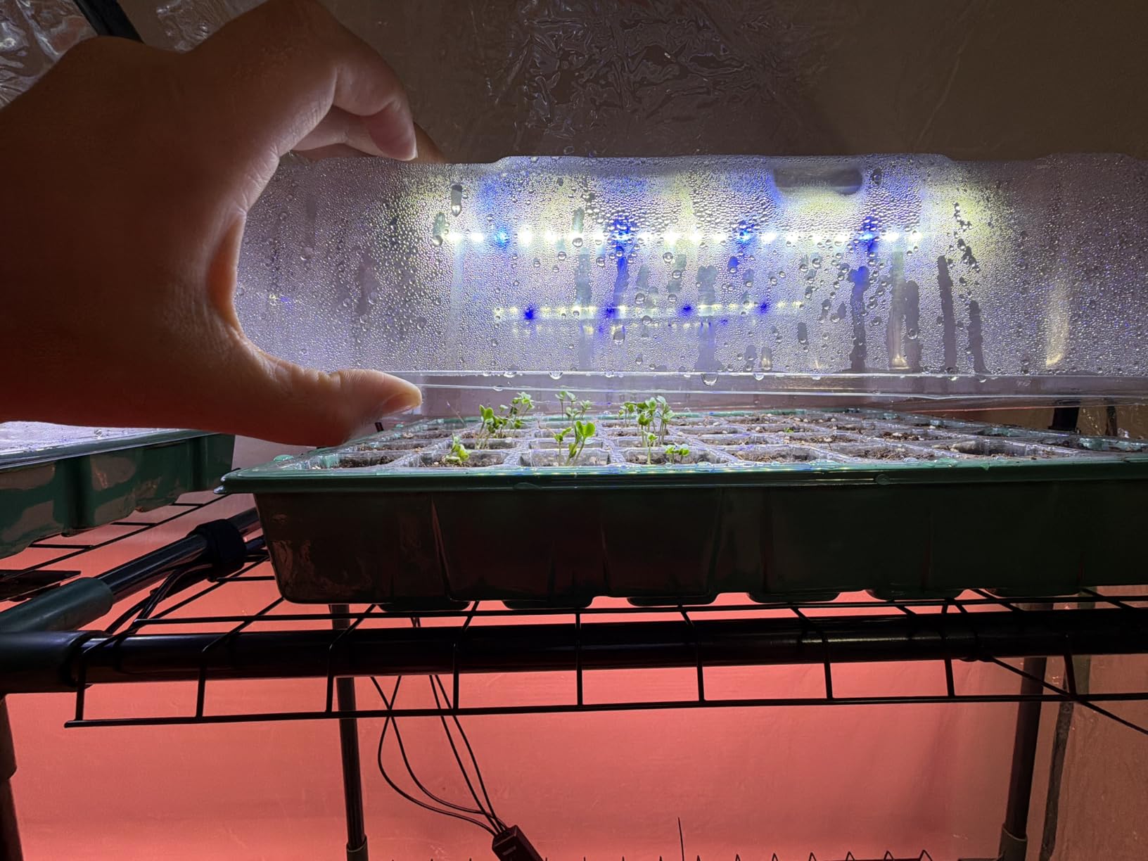 Sondiko Seed Starter Tray with Grow Light, Heated Seed Starter Kit customer photo 2