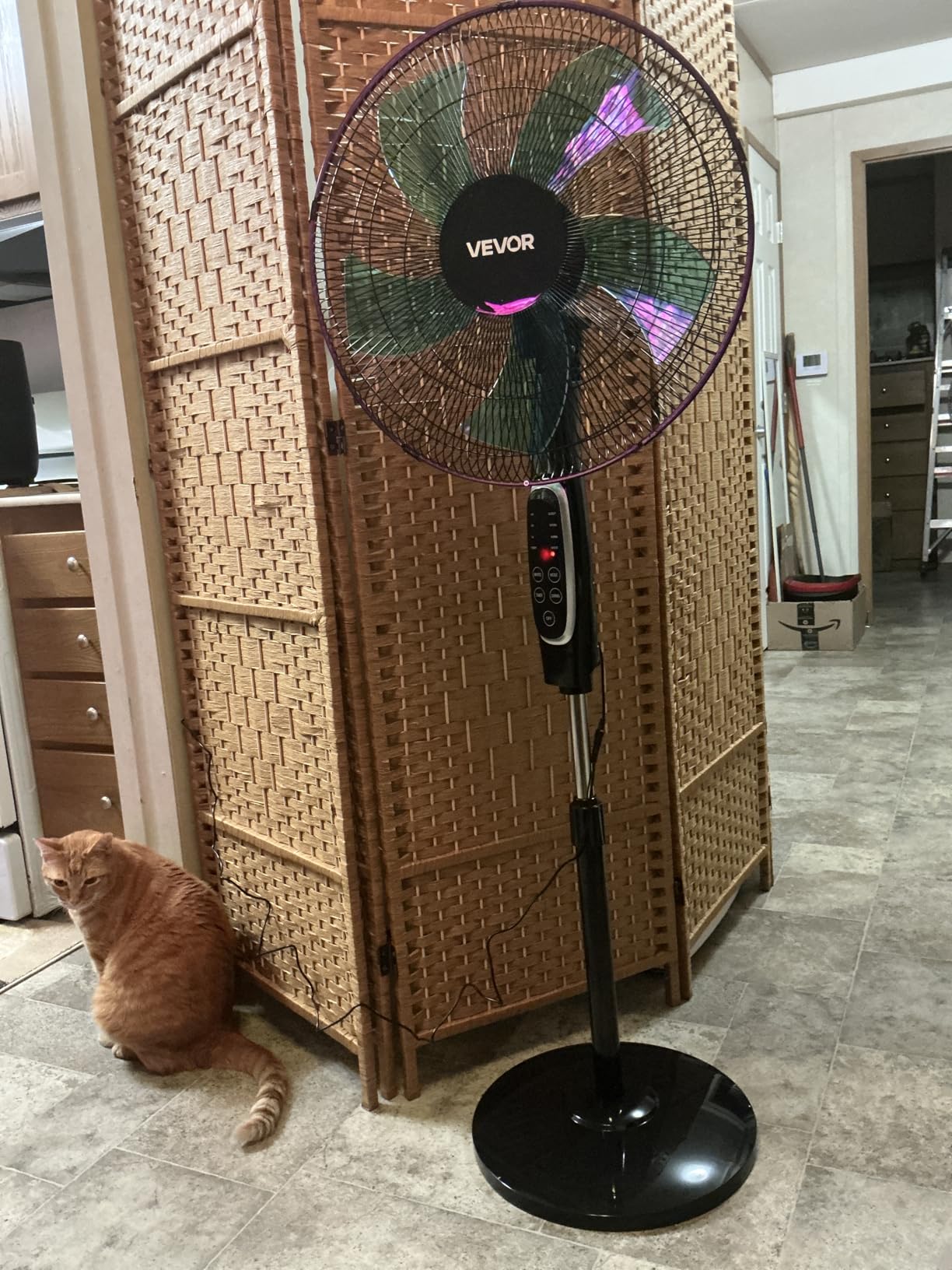 VEVOR 30-Inch High Velocity Pedestal Fan, 9100 CFM Industrial Standing Floor Fan with 85° Oscillating, 3-Speed Adjustable Height, IP44 Waterproof, Carbon Steel for Commercial, Garage, Workshop, Black customer photo 1