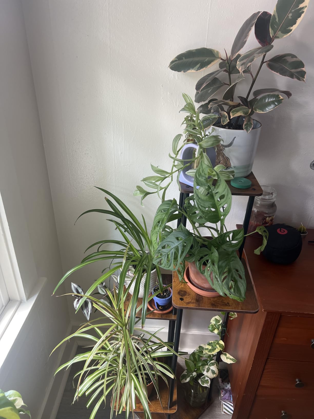 Bamworld Tall Plant Stand Indoor with Grow Light Corner Plant Shelf customer photo 1