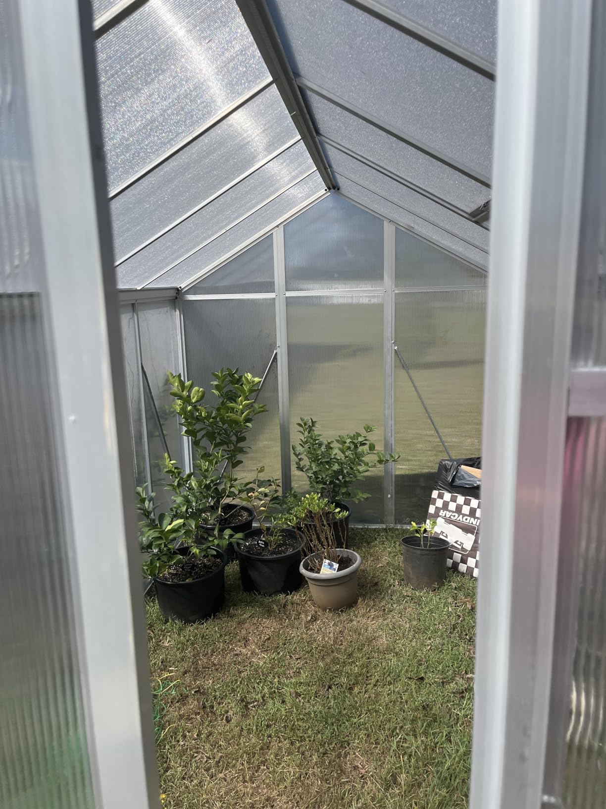 Garvee 6x10 FT Greenhouse - Large Aluminum Greenhouses for Outdoors customer photo 1