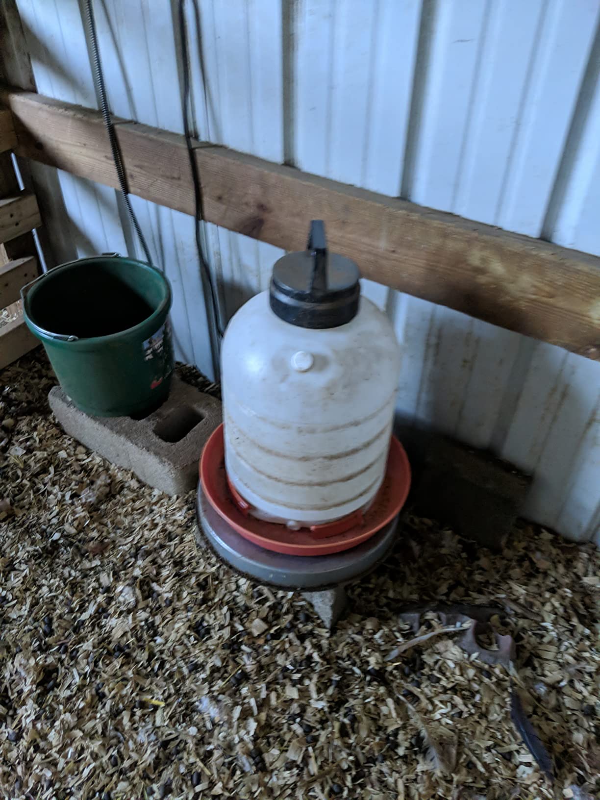 Chicken Water Heater for Winter, 11 Inch Heater Base with 6 Ft Cord customer photo 2