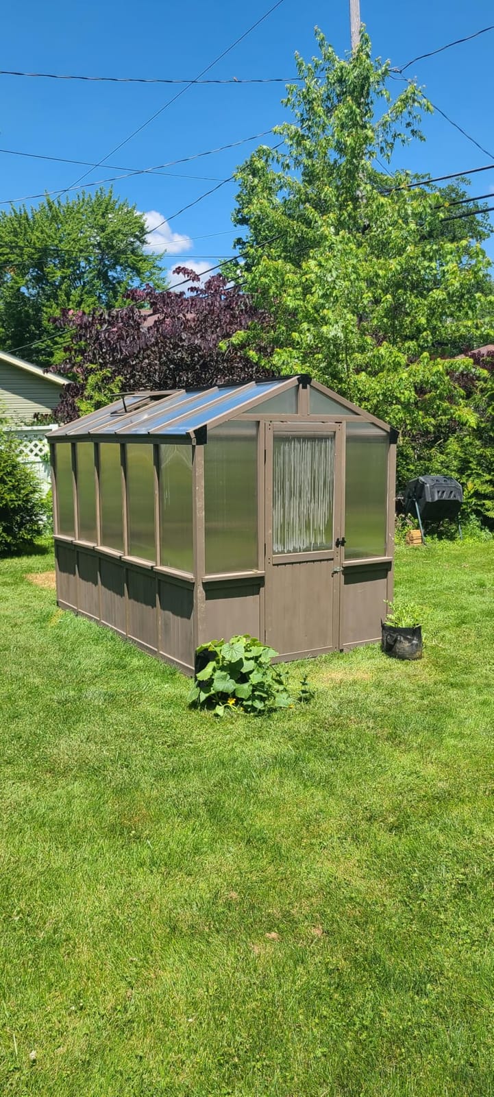 Aoxun 8x10 FT Wooden Greenhouse for Outdoors, 6MM Thick Polycarbonate Panel Walk-in Green House Kit with Adjustable Roof Vent and Lockable Door, Heavy Duty Cedar Greenhouse, Backyard Garden customer photo 2