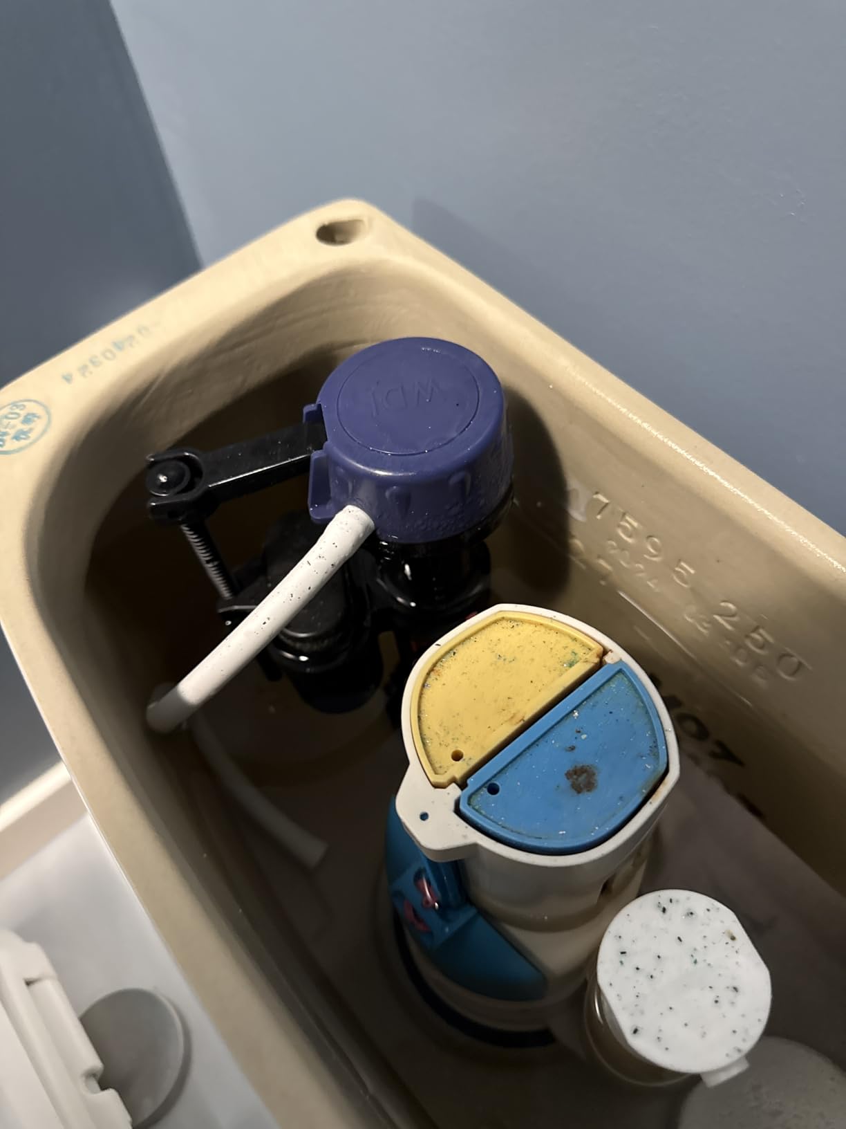 DeerValley Elongated One Piece Toilet with Efficient Dual Flush 1.1/1.6 GPF customer photo 1