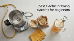 best electric brewing systems for beginners