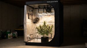 best grow tents