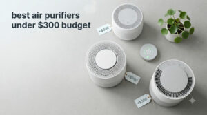 best air purifiers under $300 budget