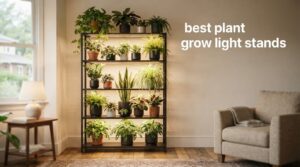 best plant grow light stands