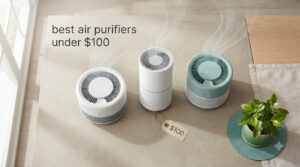 best air purifiers under $100
