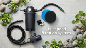 best pond filtration systems