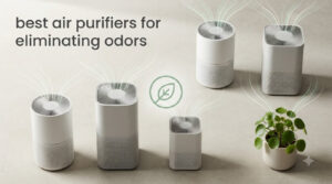 best air purifiers for eliminating odors