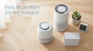 best air purifiers for voc removal