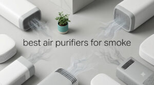 best air purifiers for smoke