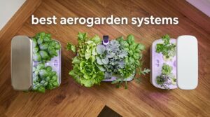 best aerogarden systems