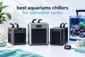 best aquariums chillers for saltwater tanks
