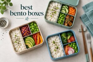 best bento boxes
