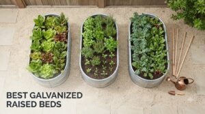 best galvanized raised beds