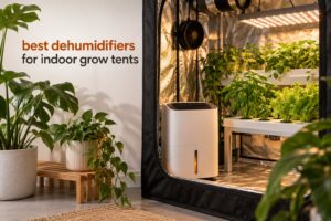 best dehumidifiers for indoor grow tents
