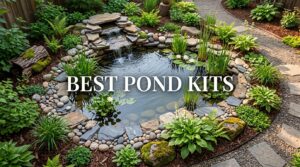 best pond kits