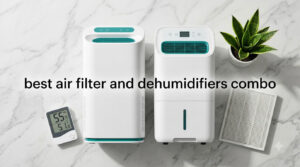 best air filter and dehumidifiers combo