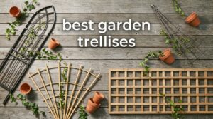 best garden trellises