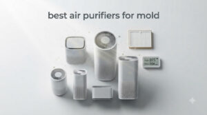 best air purifiers for mold