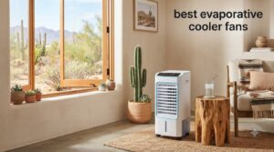 best evaporative cooler fans