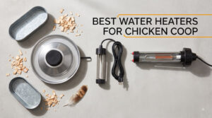 best water heaters for chicken coop