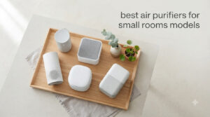 best air purifiers for small rooms models