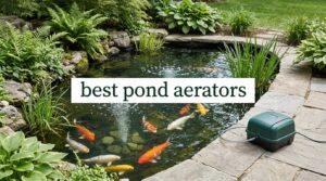 best pond aerators